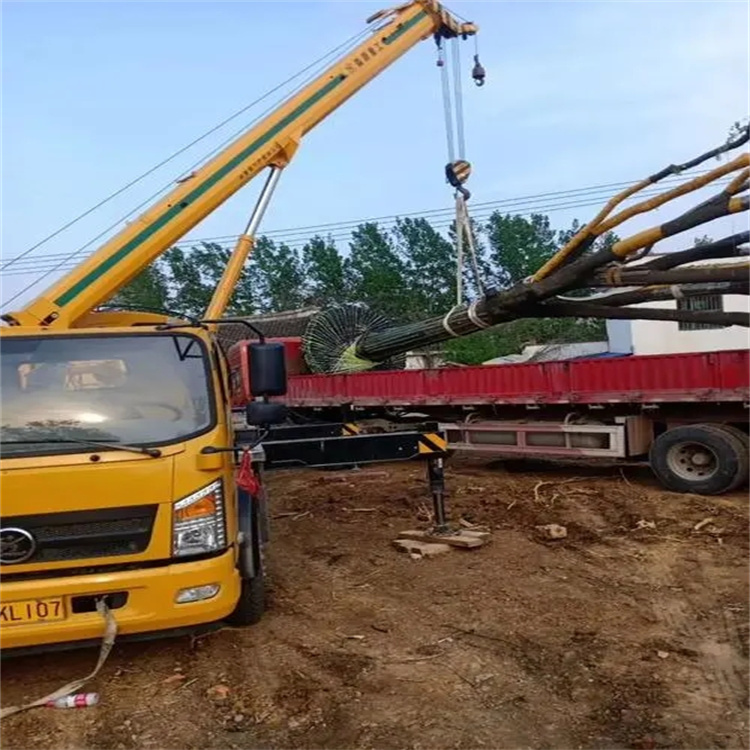 下谷坪土家族乡100吨吊车租赁费用怎么算？3大关键因素+省钱技巧全解析